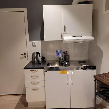 公寓 Med Kjokkenkrok I 2 Etg 特罗姆瑟